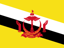 Brunei Darussalam flag