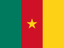 Cameroon flag