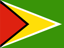 Guyana flag