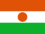 Niger flag